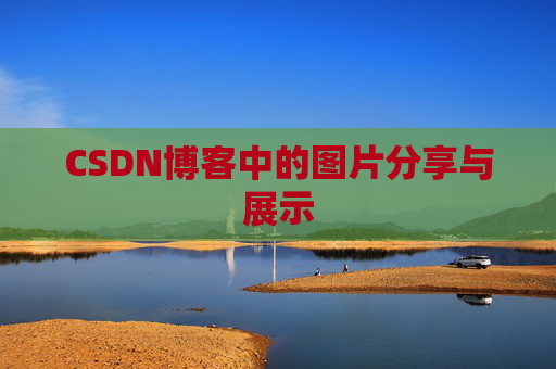 CSDN博客中的图片分享与展示